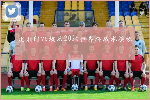 比利时vs埃及2026世界杯战术演练