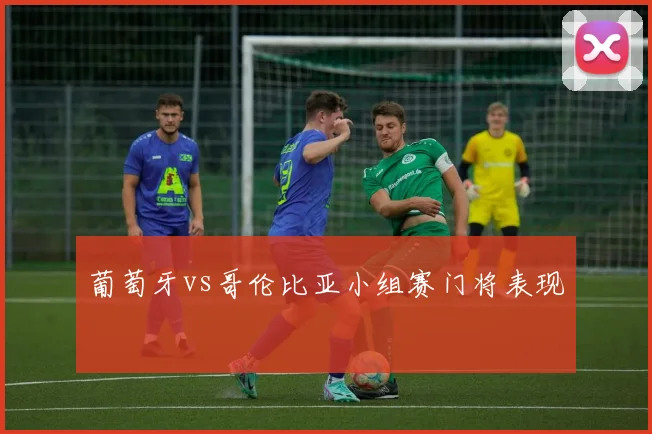 葡萄牙vs哥伦比亚小组赛门将表现