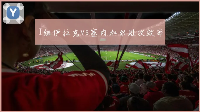 I组伊拉克vs塞内加尔进攻效率