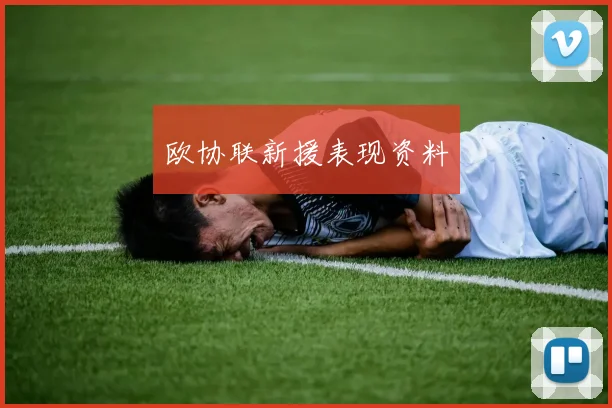 欧协联新援表现资料