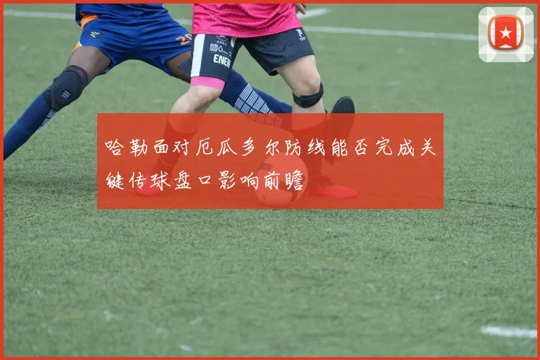 哈勒面对厄瓜多尔防线能否完成关键传球盘口影响前瞻